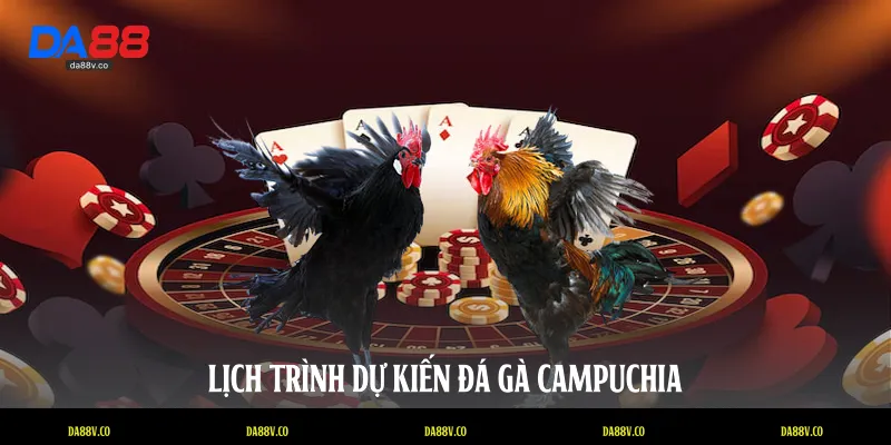 Lịch trình dự kiến đá gà Campuchia